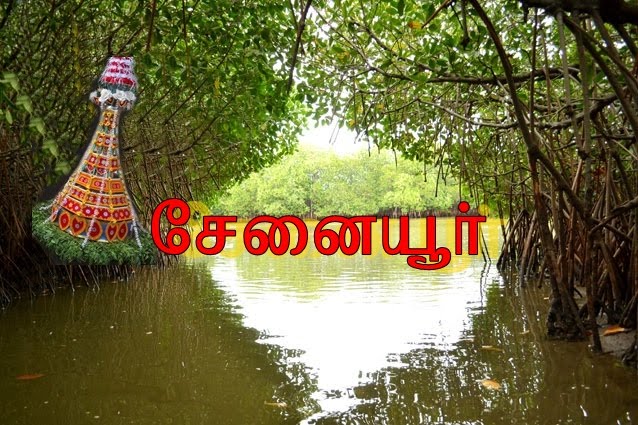 சேனையூர் அழகு