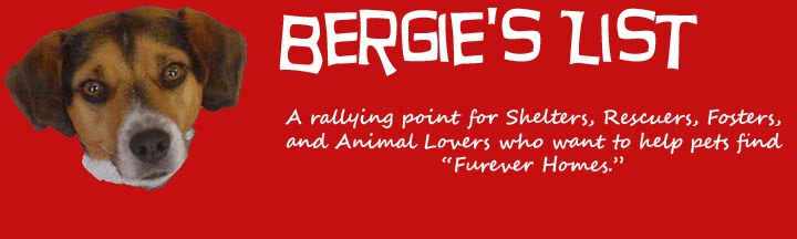Bergie's List - Helping DFW Metropets