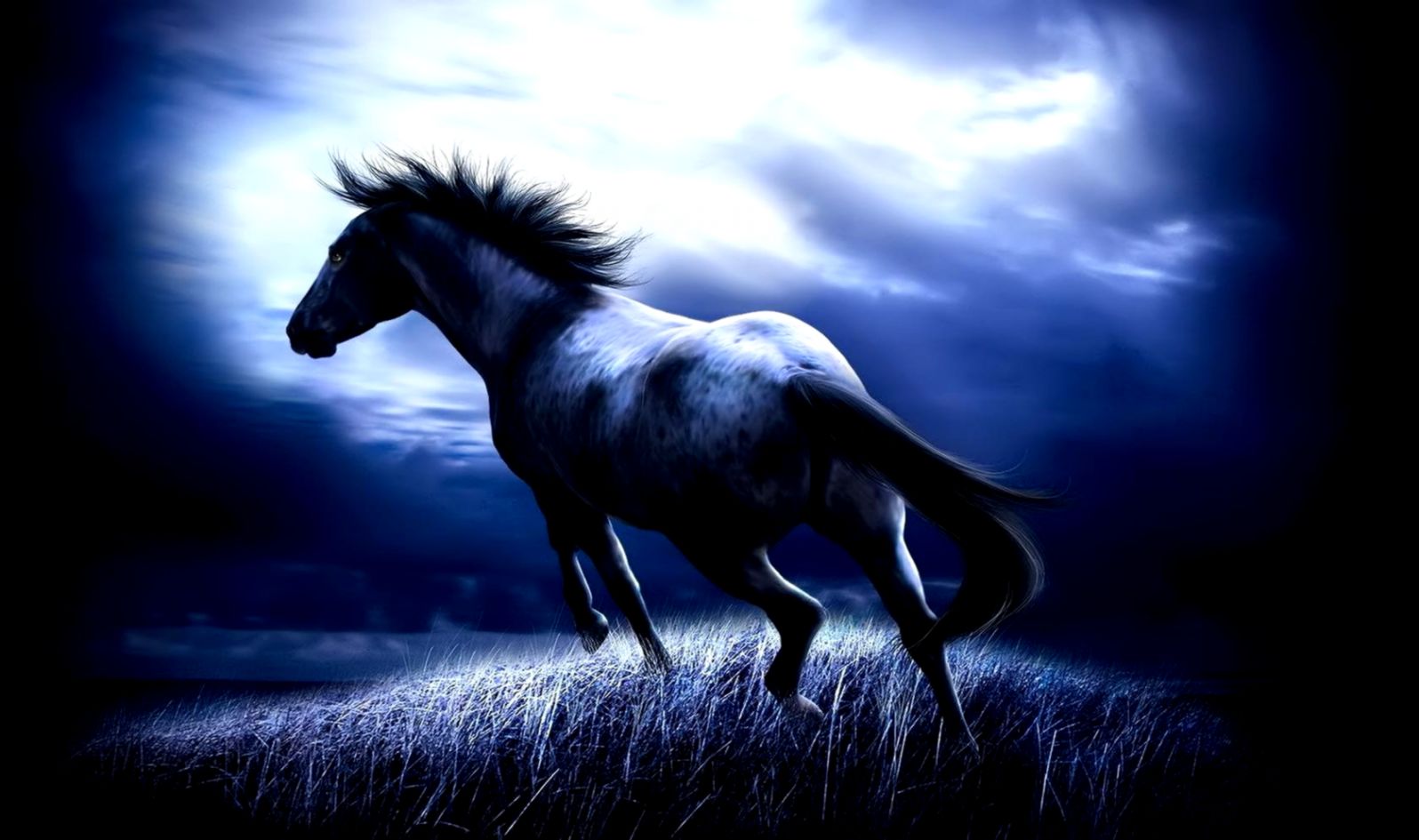 Wild Horses Desktop Wallpapers HD Wallpapers Backgrounds of Your Wild Horses Desktop Wallpapers HD Wallpapers Backgrounds of Your