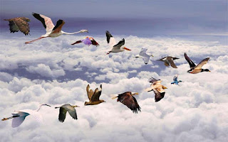 http://radhanathswamionline.com/wp-content/uploads/2012/11/Leadership1.jpeg Leader