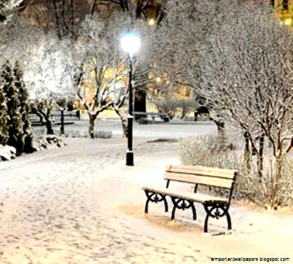 Winter Park Lights Cool Nature Snow Beauty hd wallpaper 1909632 Winter Park Lights Cool Nature Snow Beauty hd wallpaper 1909632
