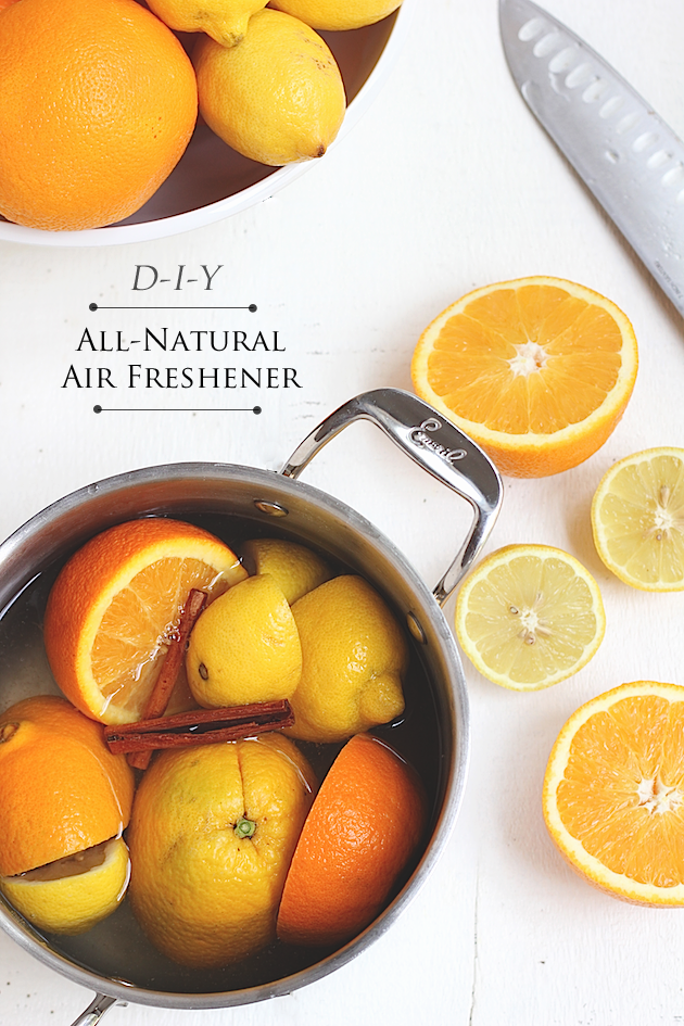 How To Make An All-Natural Homemade Air Freshener | Savor Home
