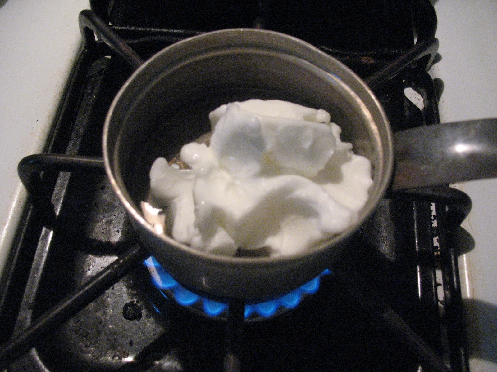 Sensible Survival Make Homemade Muscle Rub from Wild Horsemint Leaves