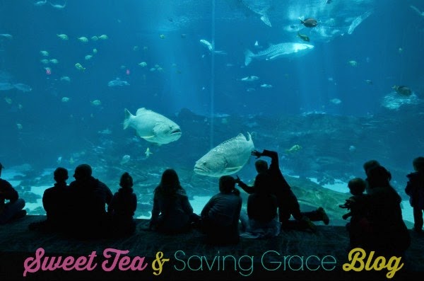 Georgia Aquarium - www.sweetteaandsavinggraceblog.com