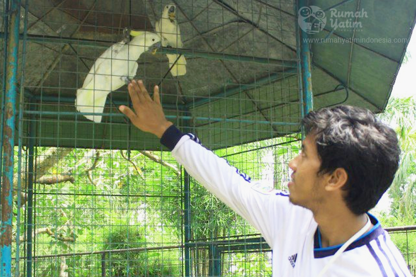 Sangkar Burung Rumah Yatim Indonesia