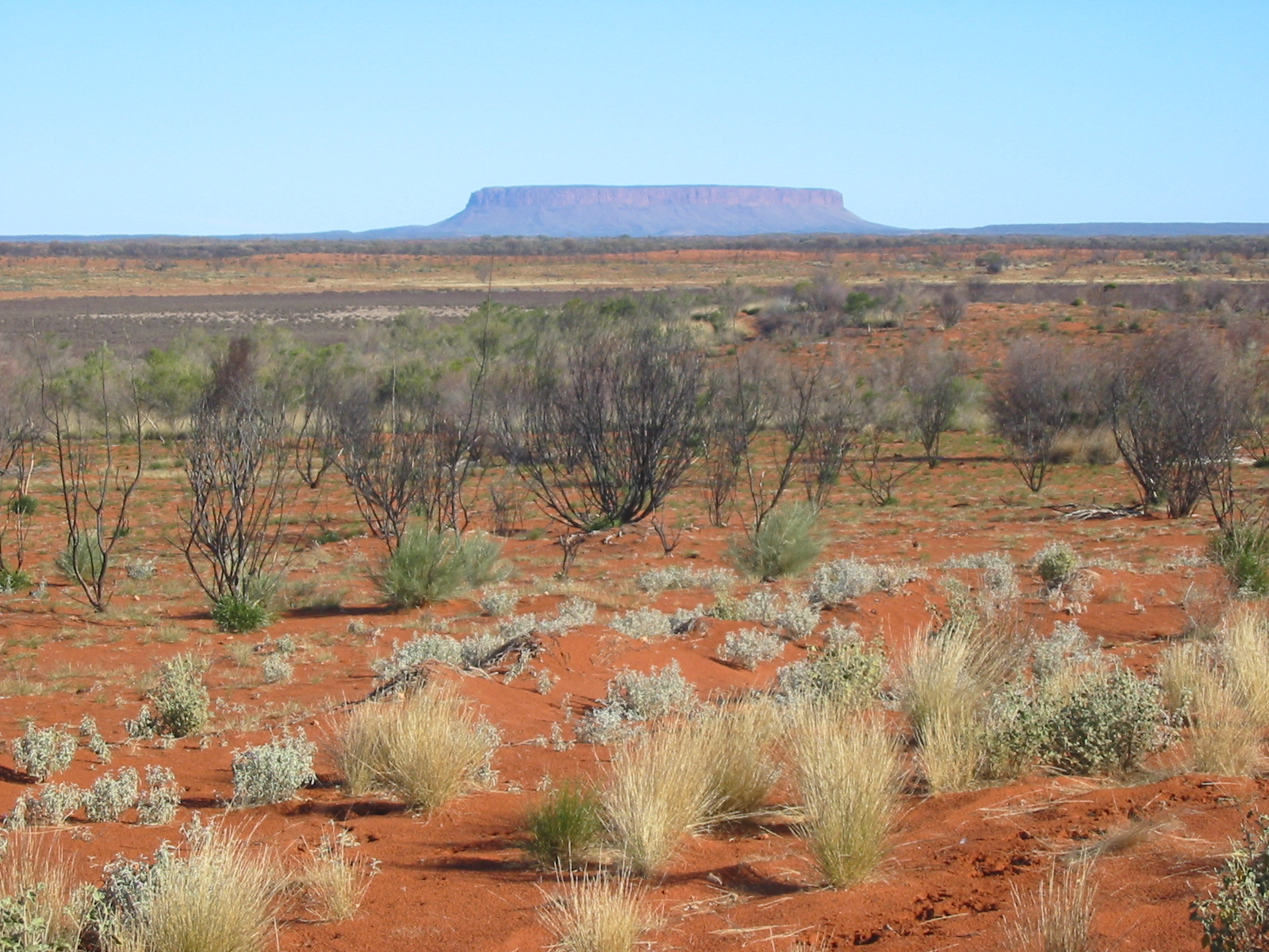 Australian Outback