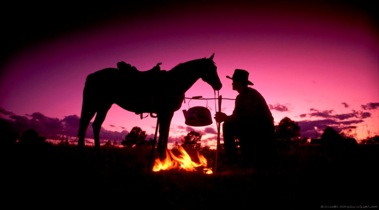 TEXAS WALLPAPERS images and photo galleries TEXAS WALLPAPERS images and photo galleries