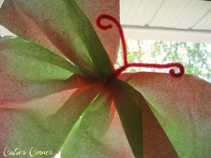 Catie's Corner From a Paper Towel to a Butterfly