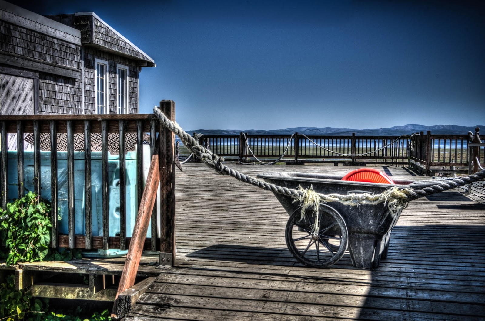 Thom Zehrfeld Photography Oysterville Sea Farms