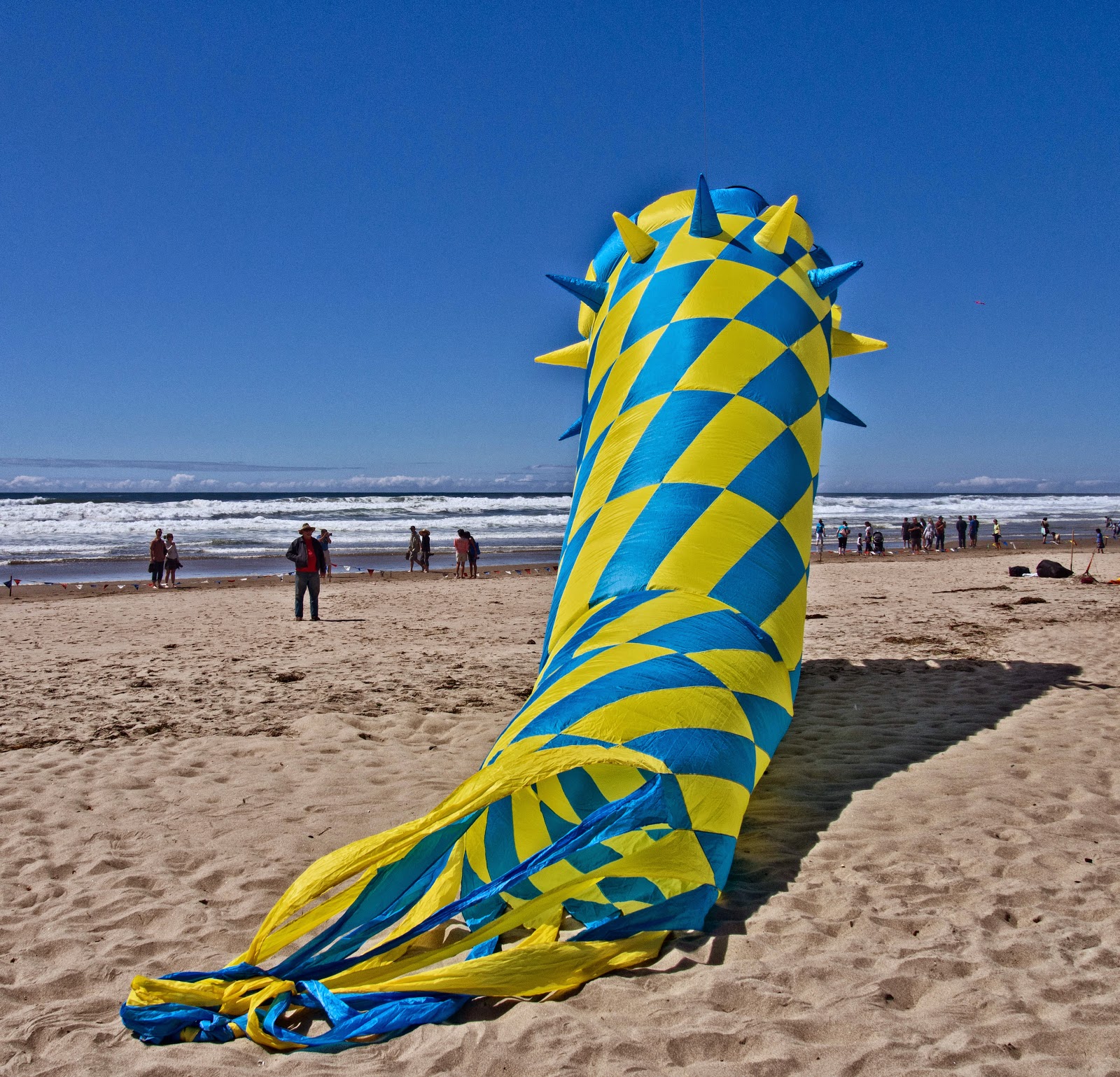 Thom Zehrfeld Photography Lincoln City Kite Festival 2014