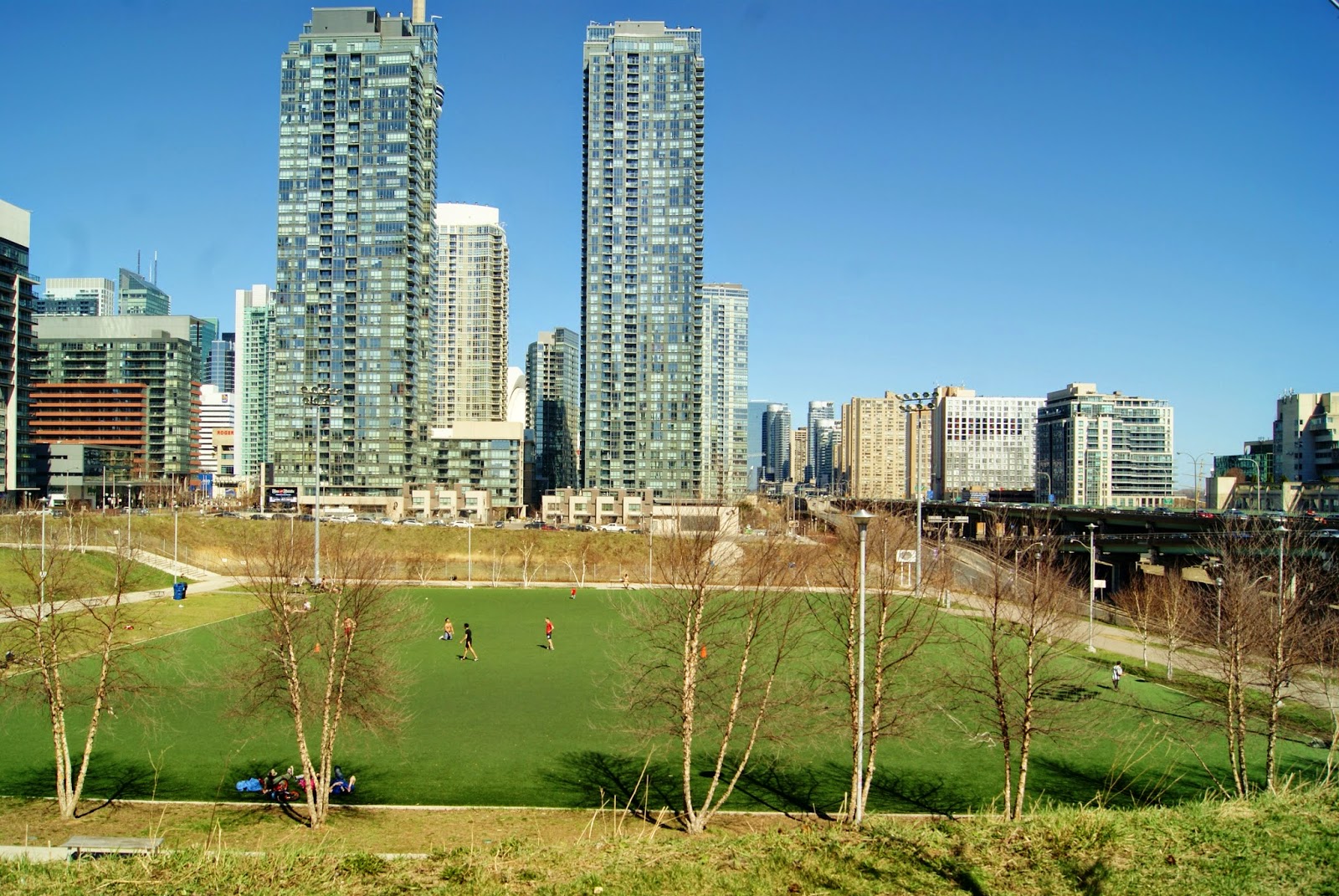 The Purple Scarf Explore Toronto Coupland Celebrates Canadian Heroes