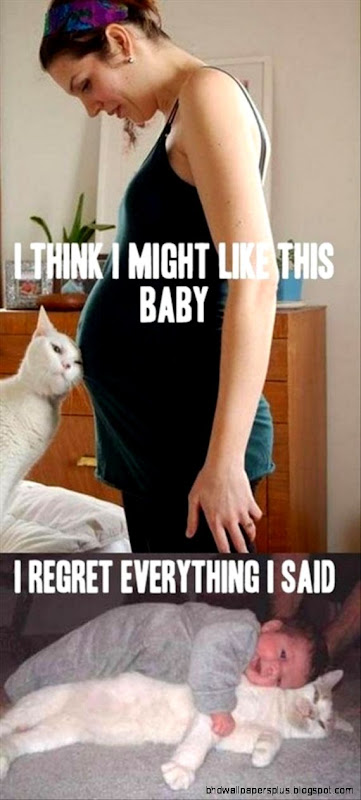 30 funny animal captions part 3 30 pics Funny Photos Funny 30 funny animal captions part 3 30 pics Funny Photos Funny