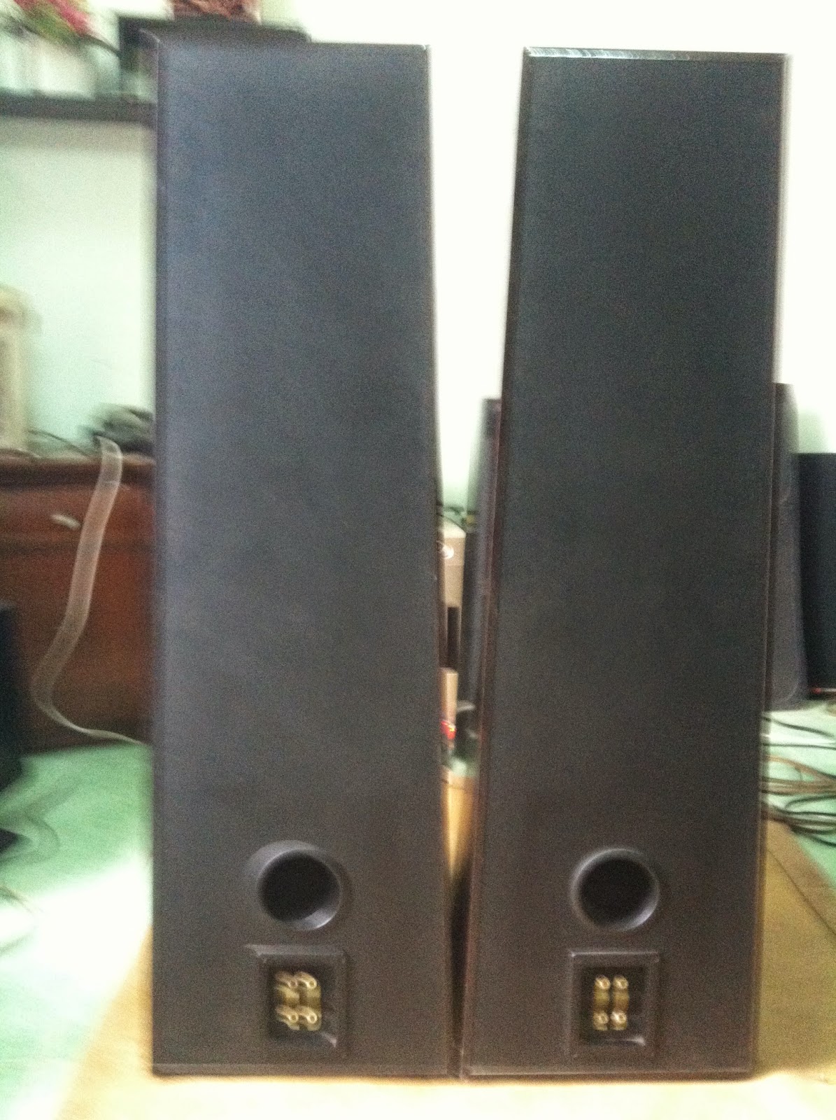 Mặt sau loa Polk Audio LS90 Mặt sau loa Polk Audio LS90