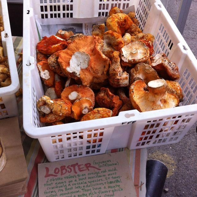 mise en place BeerBattered Lobster Mushroom Confessional