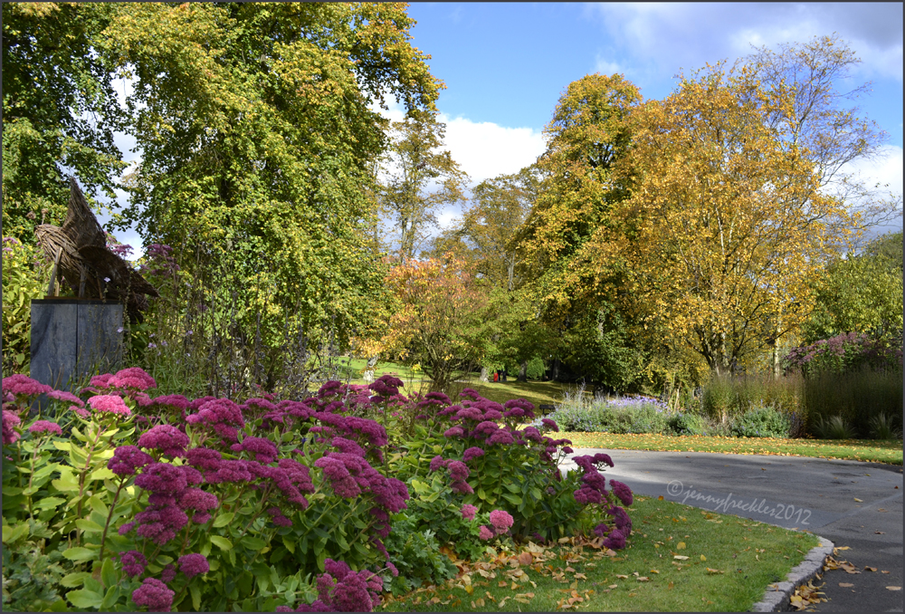 Saltaire Daily Photo Harrogate's Valley Gardens