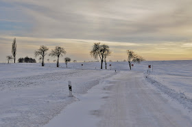 Grasgefluster Marz 2013