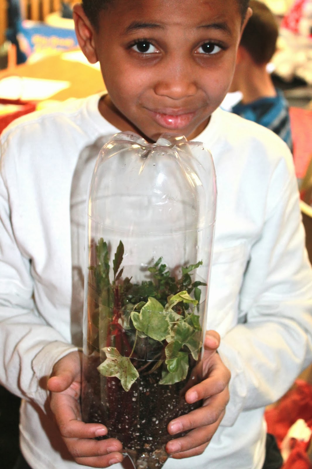 First Grade Wow Terrific Terrariums!