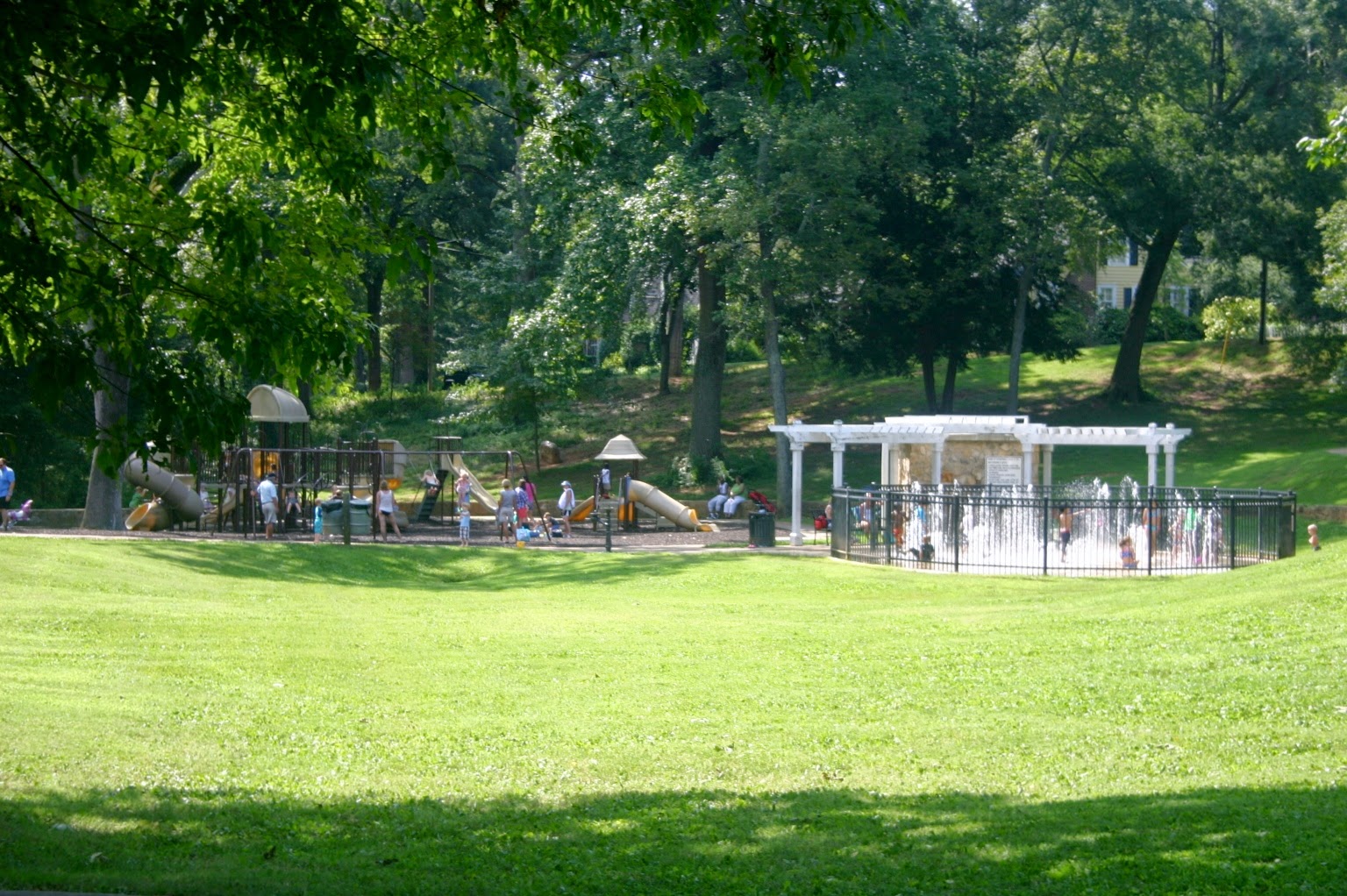 Triplets + Toddler Latta Park