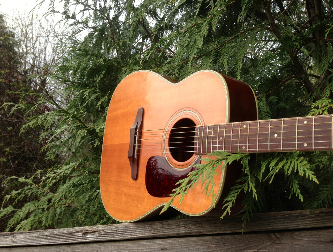 Tree Rings & Guitar Strings Sourcing Spruce; Taylor Guitars video