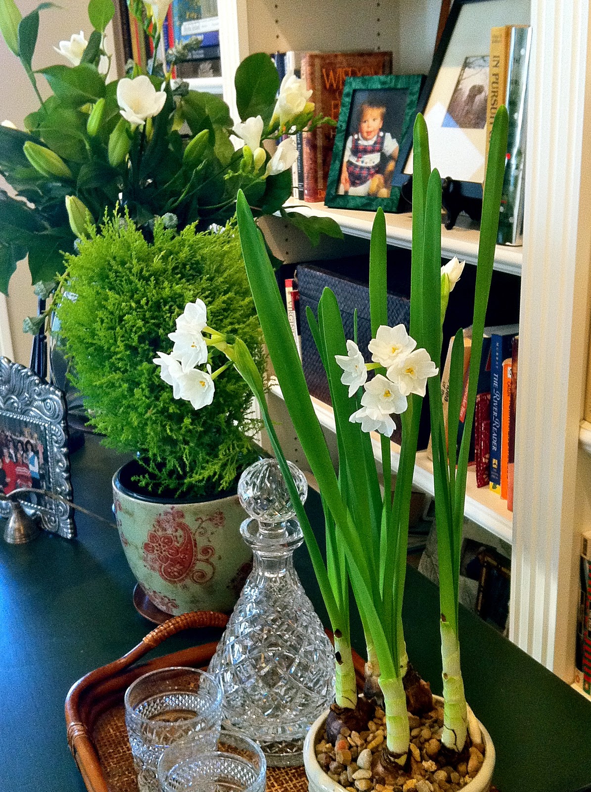 P O T A G E R Holiday Fatigue and Bargain Bulbs