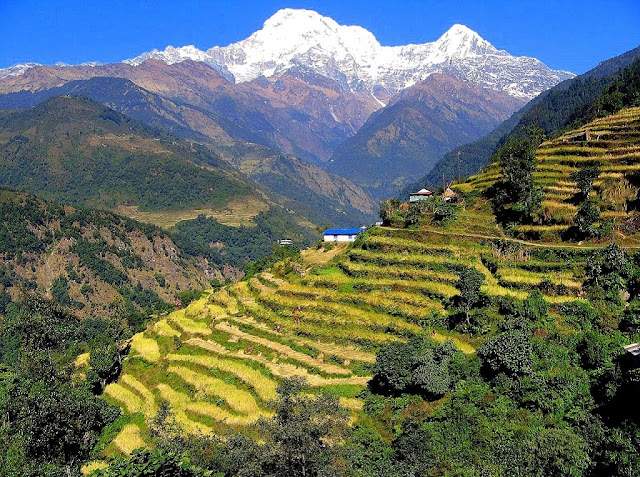 Beautiful Pictures of Nepal