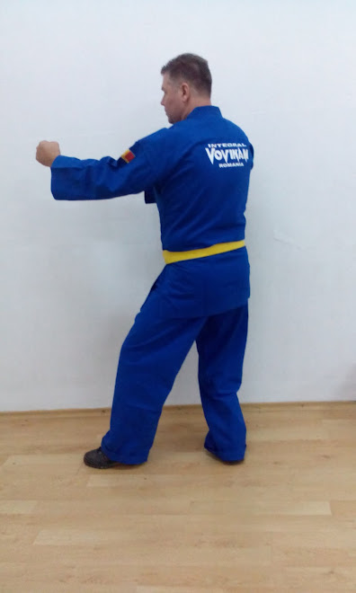 Vo Phuck - Integral Vovinam România