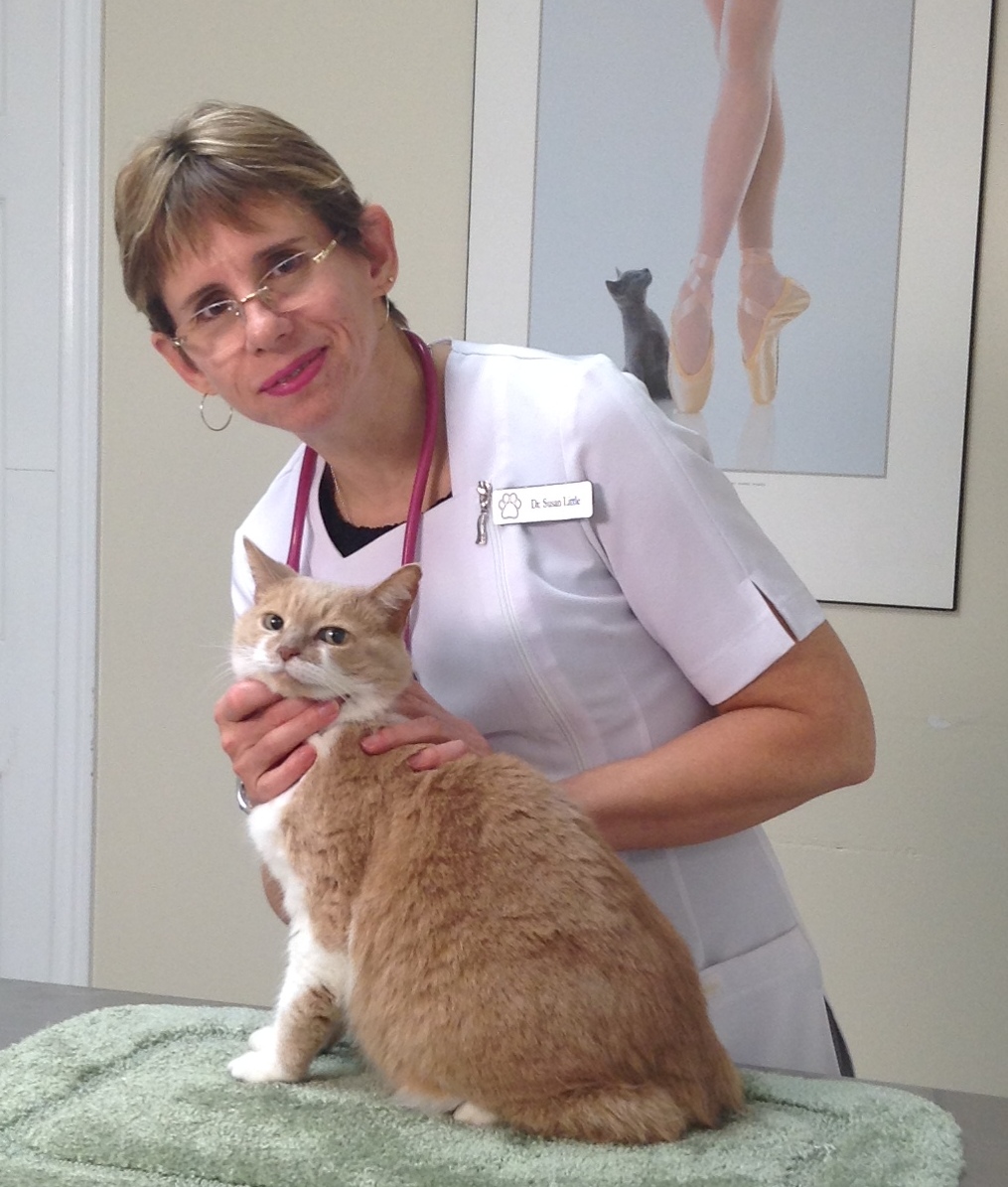 Small Animal Talk How can you tell if a cat is in pain? and other