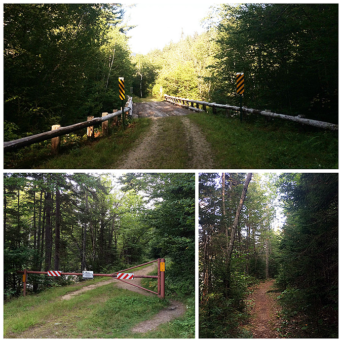 Hiking in the White Mountains and Adirondacks Exploring the Old