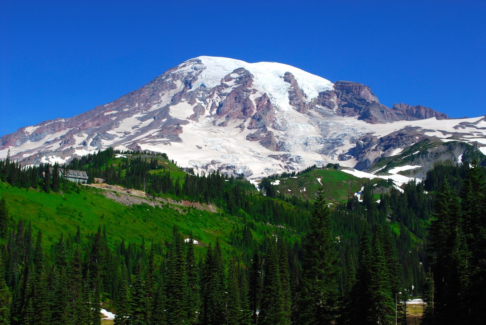 Wanderlust Traveler Mount Rainier National Park