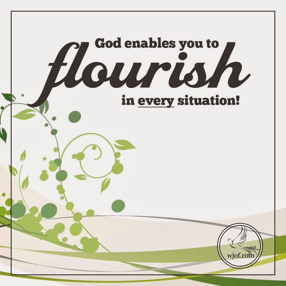 “God Uses Every Little Problem to Cause You to Flourish” Women's