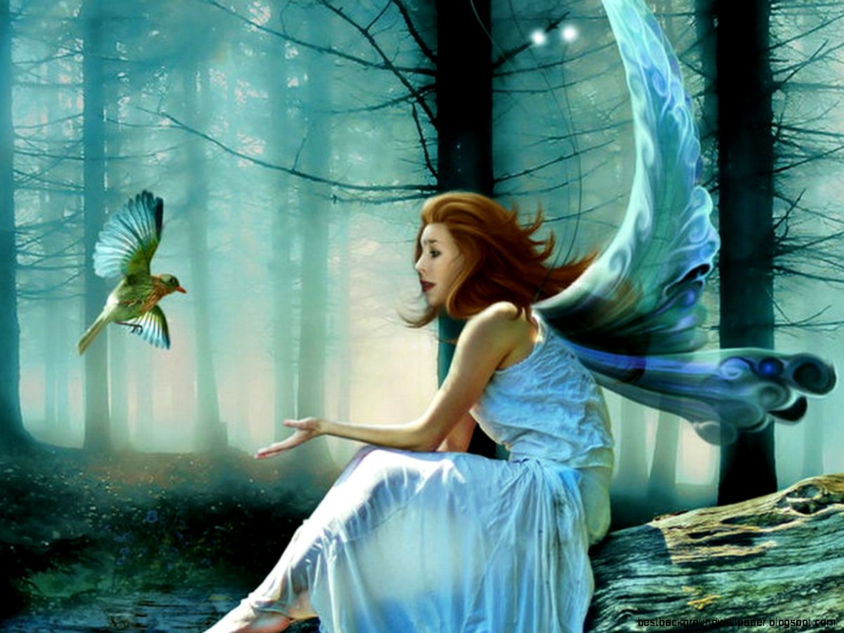 fairy Wallpaper Backgrounds fairy Wallpaper Backgrounds