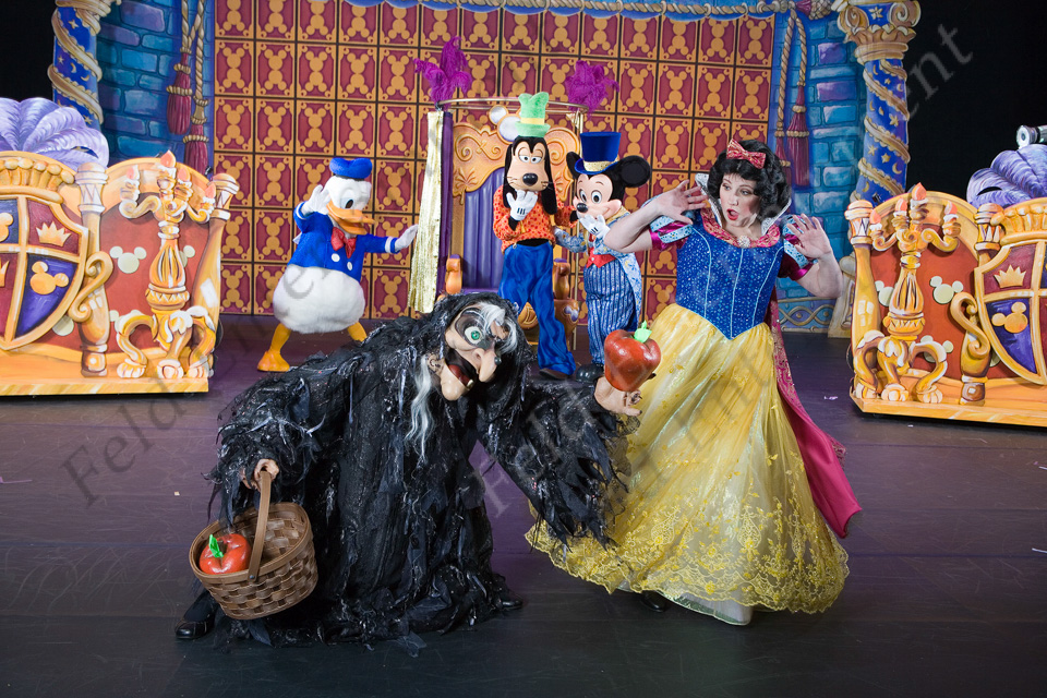 Disney Live! O Caminho Mágico de Mickey & Minnie em Curitiba, 06 - 09 de agosto 2015 / imagem divulgação Disney Live! O Caminho Mágico de Mickey & Minnie em Curitiba, 06 - 09 de agosto 2015 / imagem divulgação