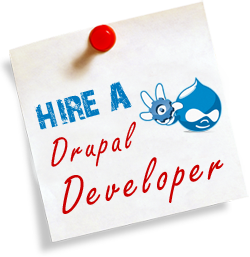 Drupal Developers