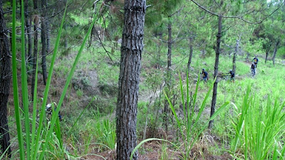 Jalur yang dilalui adalah 30% menanjak dan sisanya turunan.