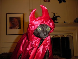[Imagem: gato+diabo.jpg]