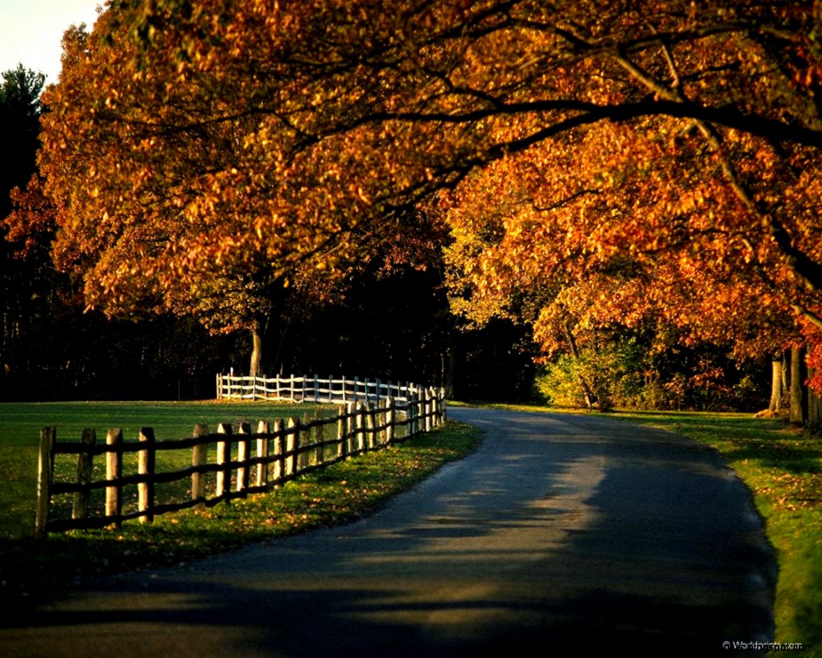 Autumn Photography Desktop Wallpapers 3765 HD Desktop Autumn Photography Desktop Wallpapers 3765 HD Desktop