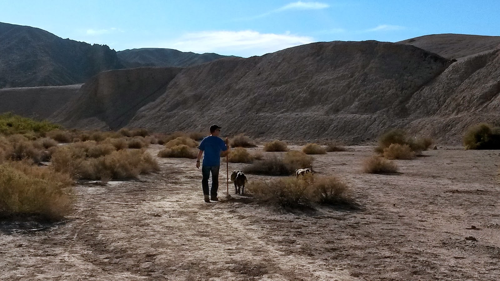Hiking with Fido Hikes with Dogs on Southern California Hiking Trails