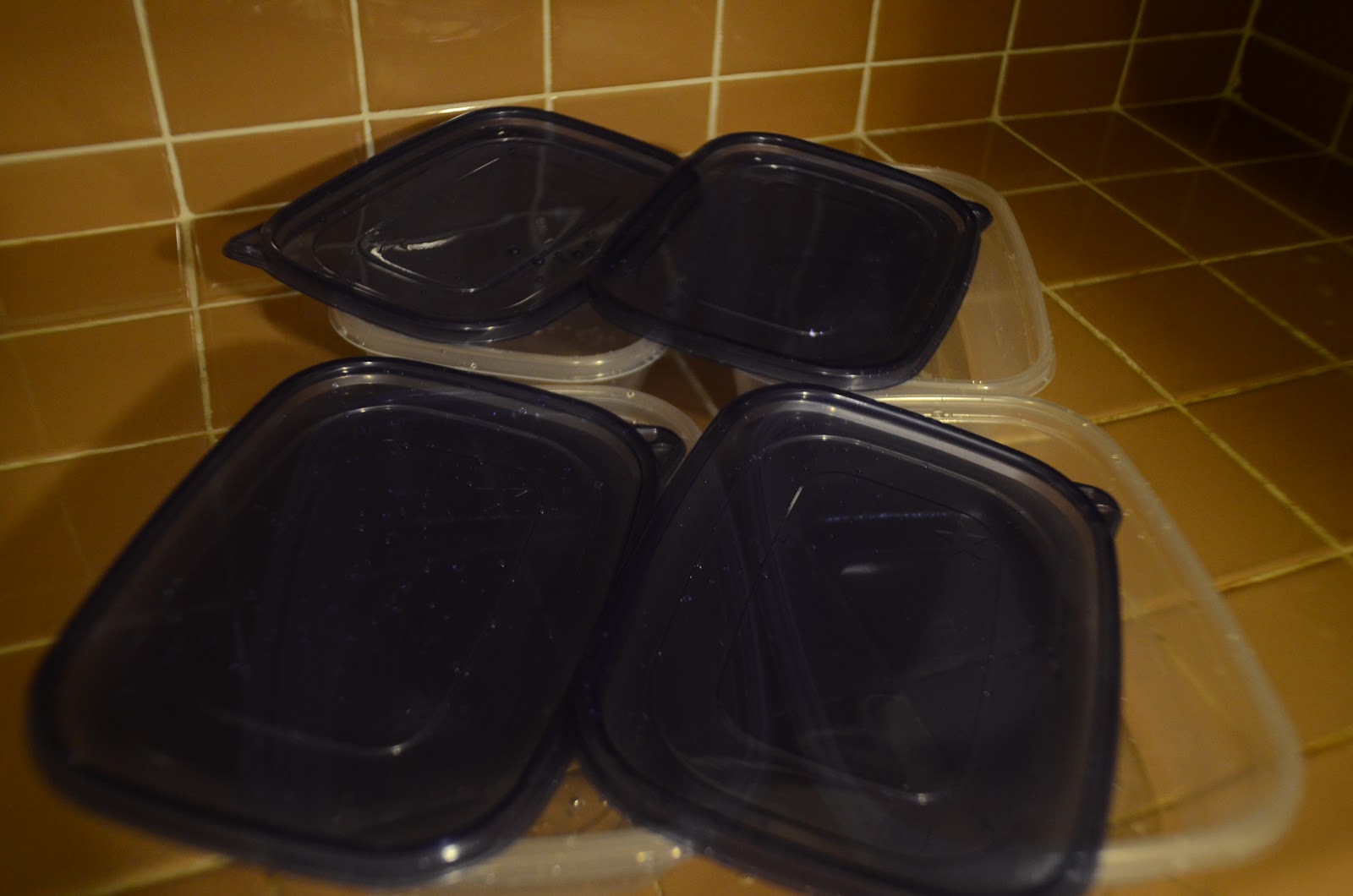 27 Years of Nothing but Failures Make Your Own Homemade TV Dinners!