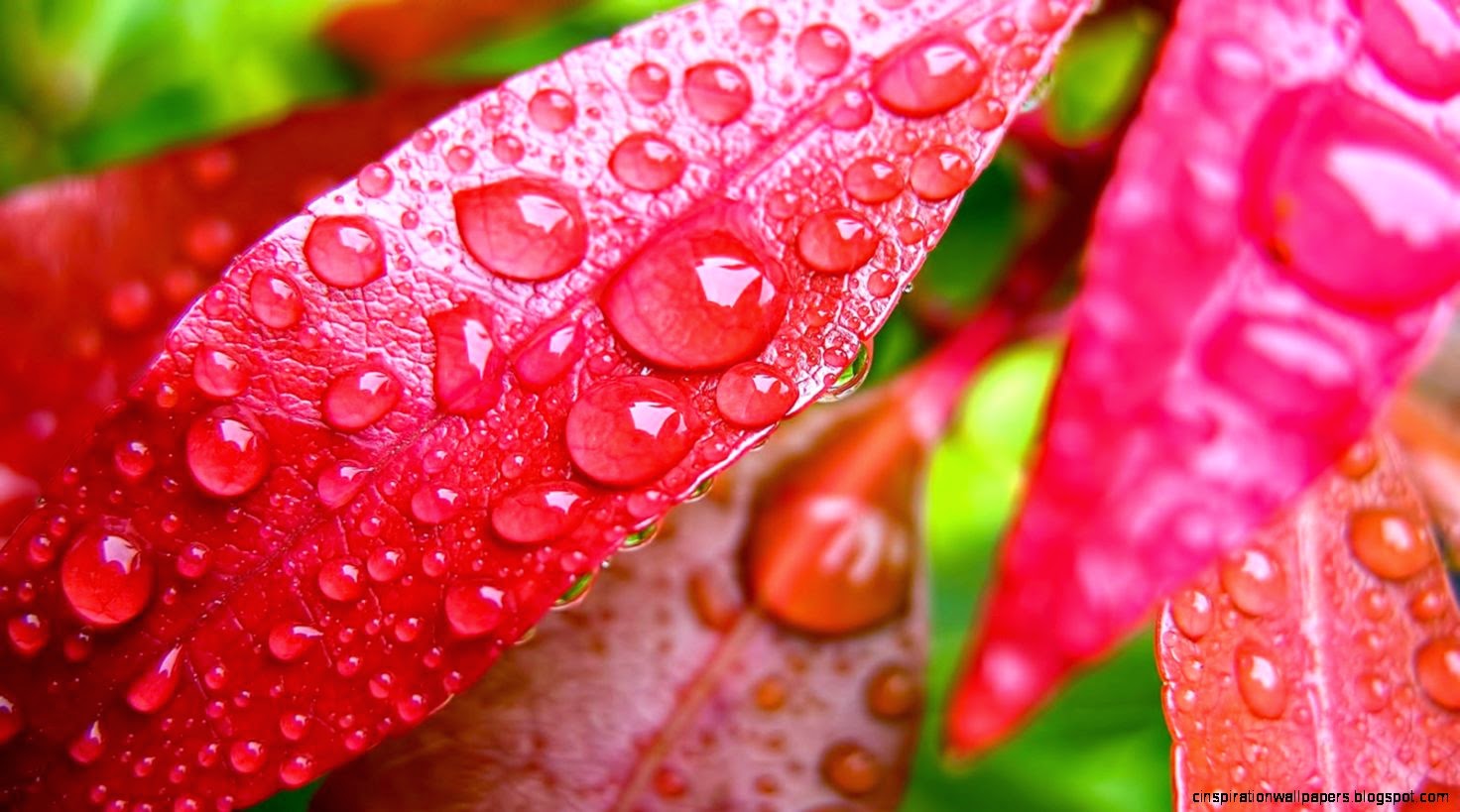 30 Beautiful Rain Wallpapers for your desktop 30 Beautiful Rain Wallpapers for your desktop