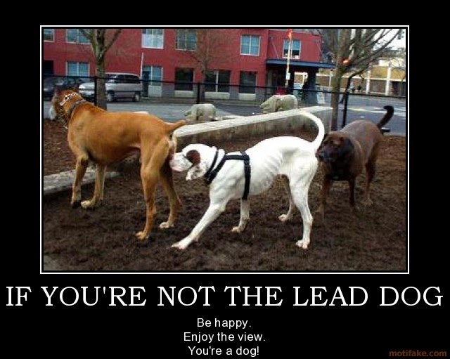 RCC Blog Quote of the Day