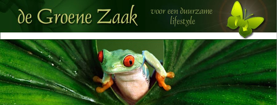De Groene Zaak - blog over duurzame lifestyle