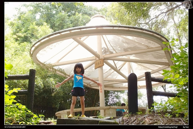 嘉義縣竹崎鄉親水公園萬竹博覽館-全新景點花仙子-天空步道啟用-千禧橋-弘景橋