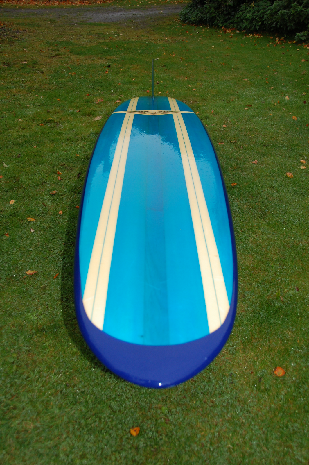 vintage surfboard collector UK Roberts d fin longboard