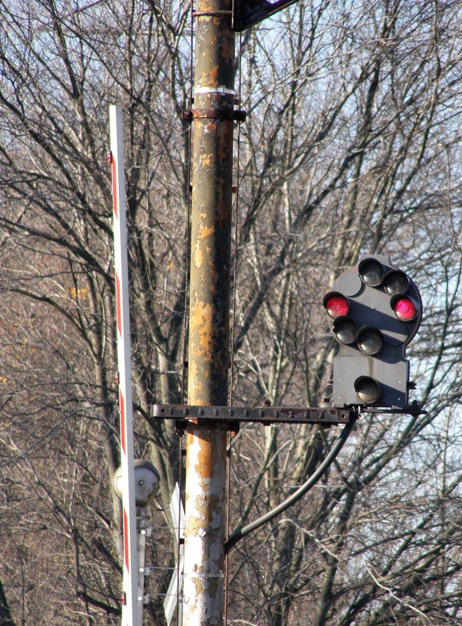 book dictionary of contact allergens