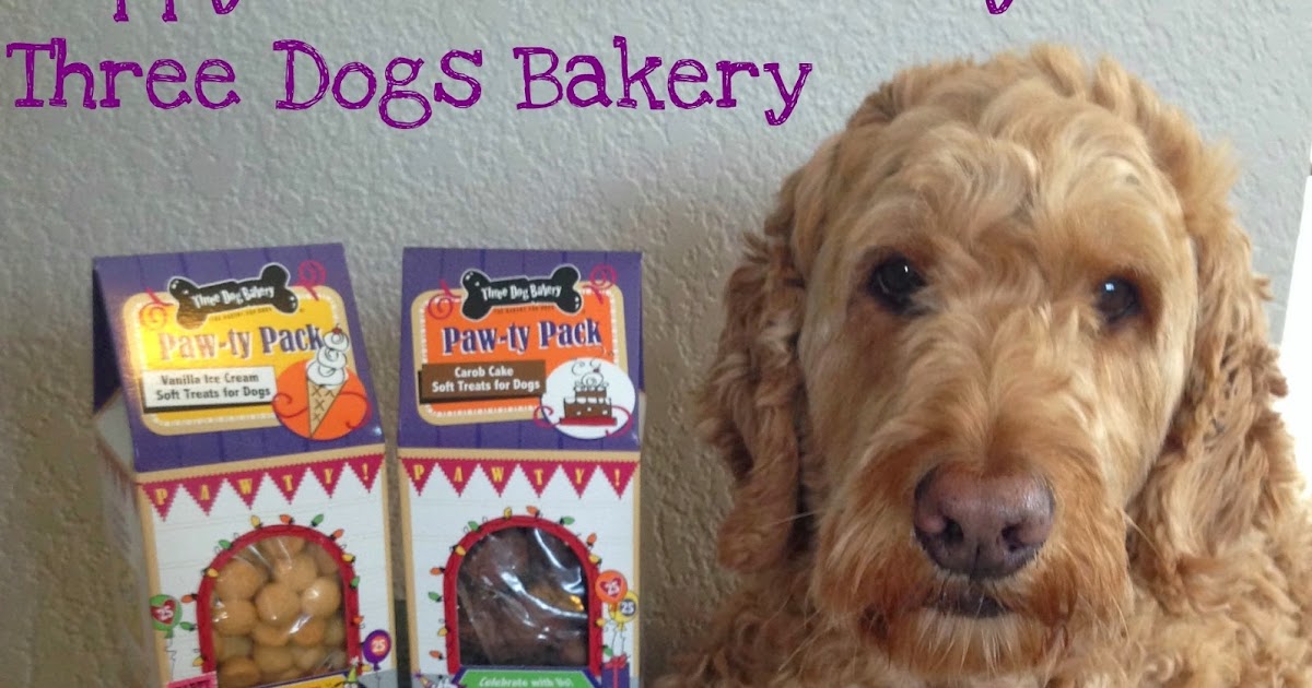 Spencer the Goldendoodle Tasty Tuesday Three Dogs Bakery Review and Giveaway