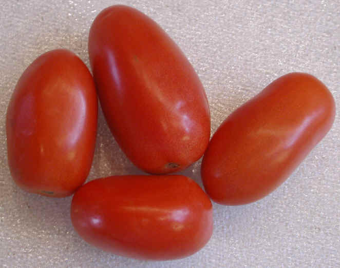 Eat Live Grow Paleo : Tomatoes