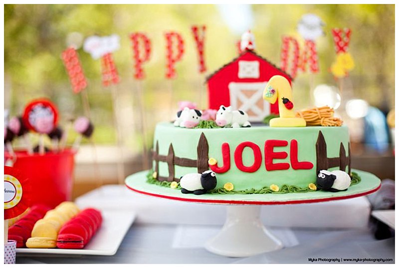 Old Macdonald First Birthday Party The Sandpit