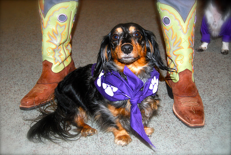 The Kersten Haus Dachshund Coat Rack