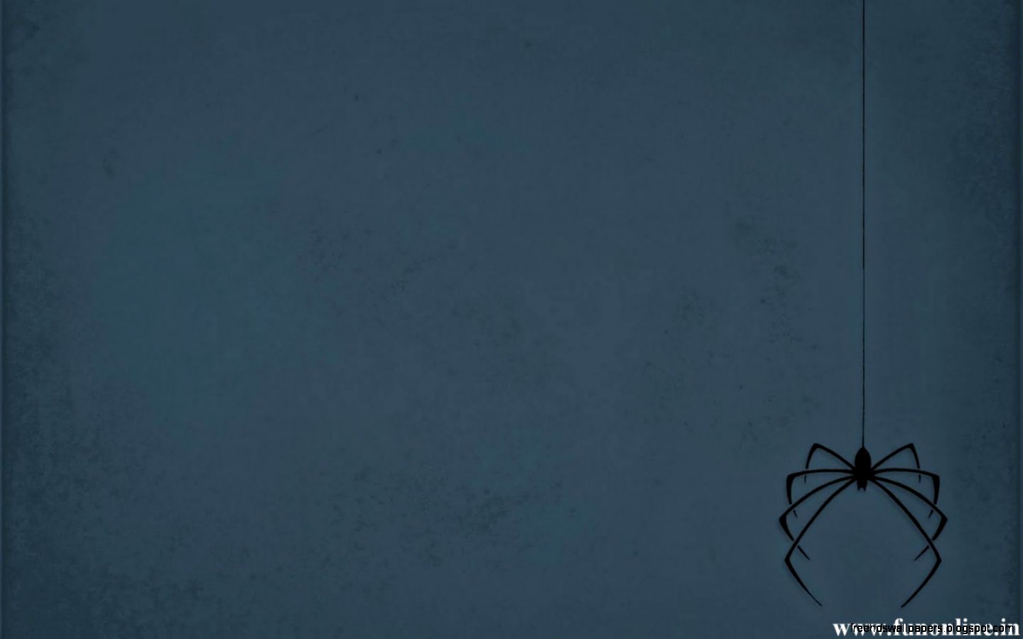 Spider Wallpapers Download Poisonous and Deadly Spiders Hd Spider Wallpapers Download Poisonous and Deadly Spiders Hd