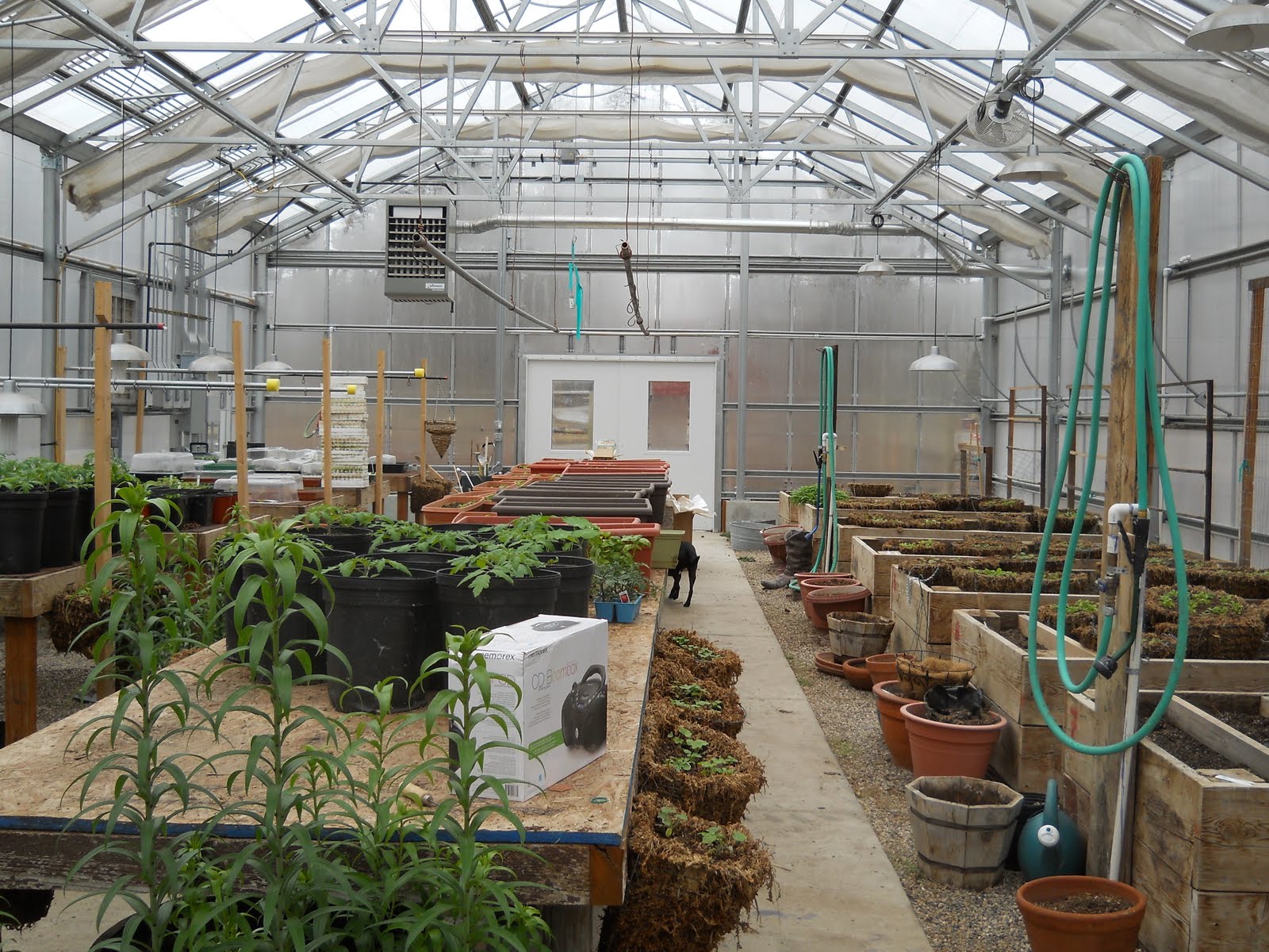 Erin's Adventures to Hawkeye!